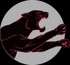 FastCat Servers