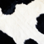 Fat Cow Media