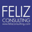 FELIZ Consulting Company