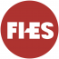 FI ES Systems Pvt Ltd