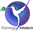 Flamingo Infotech