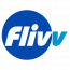 Flivv Web Development Pvt Ltd