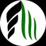 Flozen Media Technologies