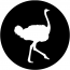 Flying Ostrich Media, Inc.