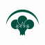 Forest Technologies