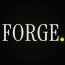 Forge Development Studio LLC