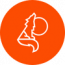 Forty Wolves Digital Marketing Agency
