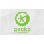 Gecko Solutions
