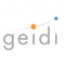 Geidi IT Services