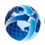  Gemini Consulting & Services