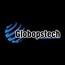 GlobopsTech Outsourcing Pvt. Ltd.