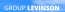GroupLevinson
