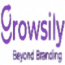 Growsily Global Pvt Limited