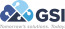 GSI, Inc.