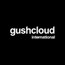 Gushcloud International