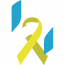 Halcyon IT Services ltd