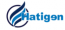 Hatigen Company