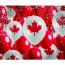 HostedinCanada