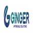 httpsgingeraffordablesolutions.com