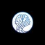 IBSTAR IT LTD