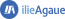 Ilie Agaue Technologies
