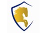 Innovation Star Consultants LLC