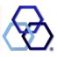 Integrated Computer Services, Inc.