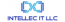 Intellec IT LLC