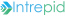 Intrepid IT Services