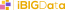 IOT Big Data IT services LLC