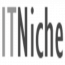 IT Niche