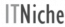 IT Niche