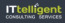 ITtelligent Consulting