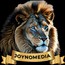 Joyno Media Inc