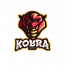Kobra SEO - Digital Marketing Agency