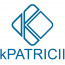 kPatricii IT Services LLP