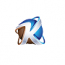 kynsweb Developer