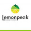Lemon Peak Marketing Services