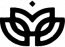 Lilium Solutions