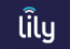 LILY COMMUNICATIONS LTD