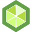 Lime Commerce