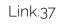 Link37
