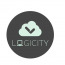 Logicity Private Limited