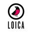 Loica