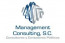 Management Consulting