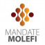 Mandate Molefi
