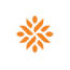 MentorMate