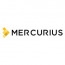 Mercurius & Associates LLP