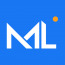 MetaLogics Software Company
