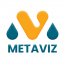 Metaviz Pro